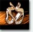 ear-rings