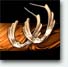 ear-rings