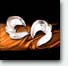 ear-rings